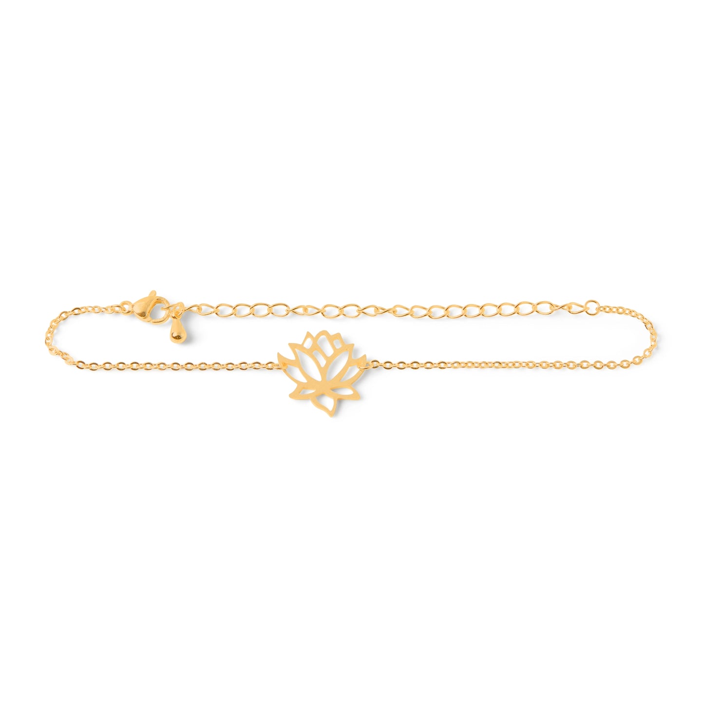 LOTUS Armketterl